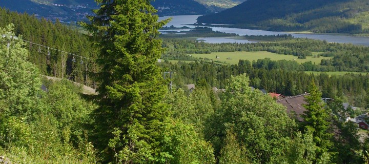 Nu tar vi sommarlov.. Nu tar vi sommarlov..