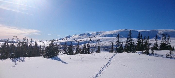 Totalskidskolan 30 år Totalskidskolan 30 år